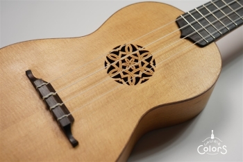 ukulele concert 14 FA.S